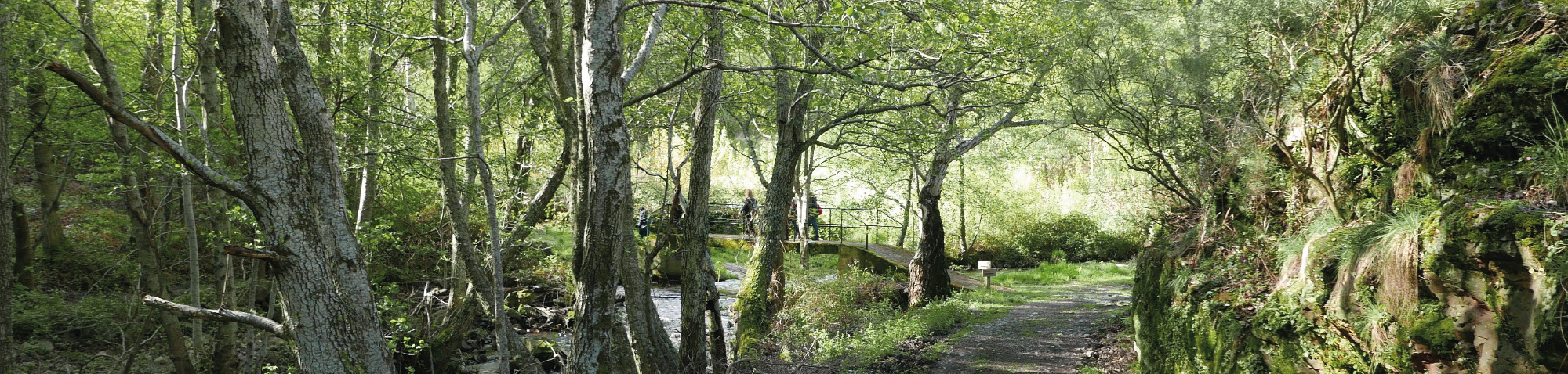 Naturaleza y senderismo