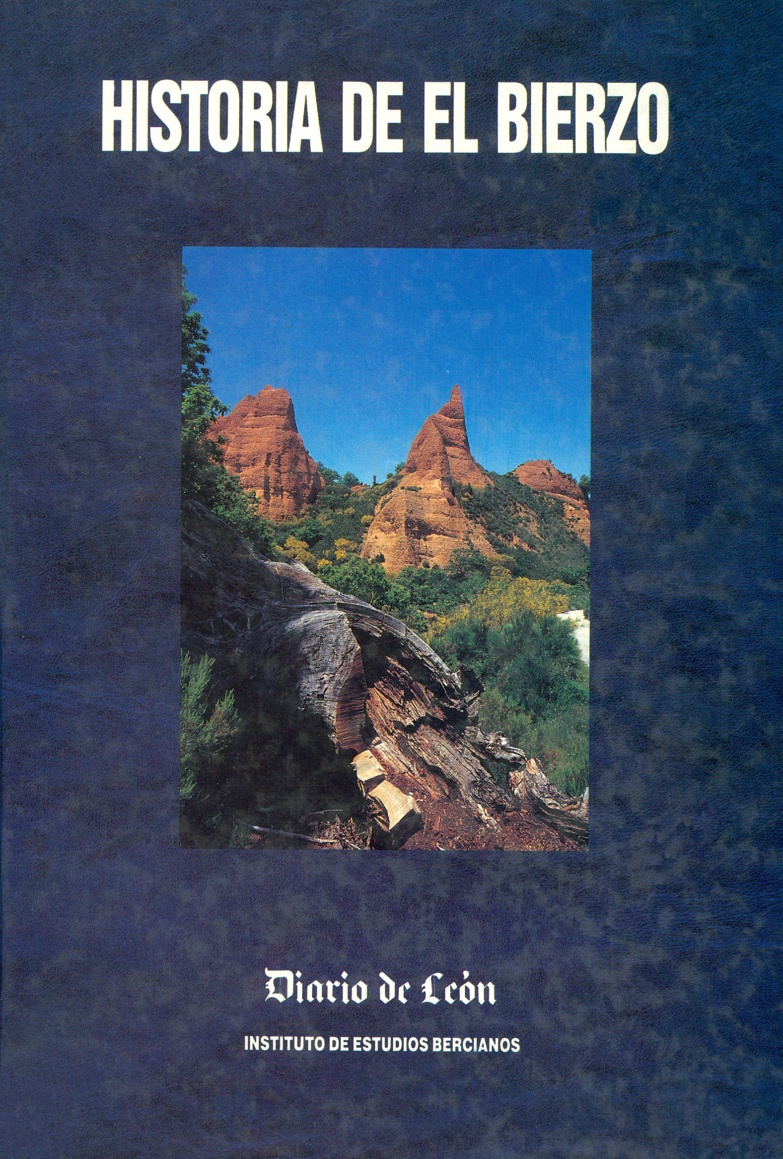 Historia de El Bierzo