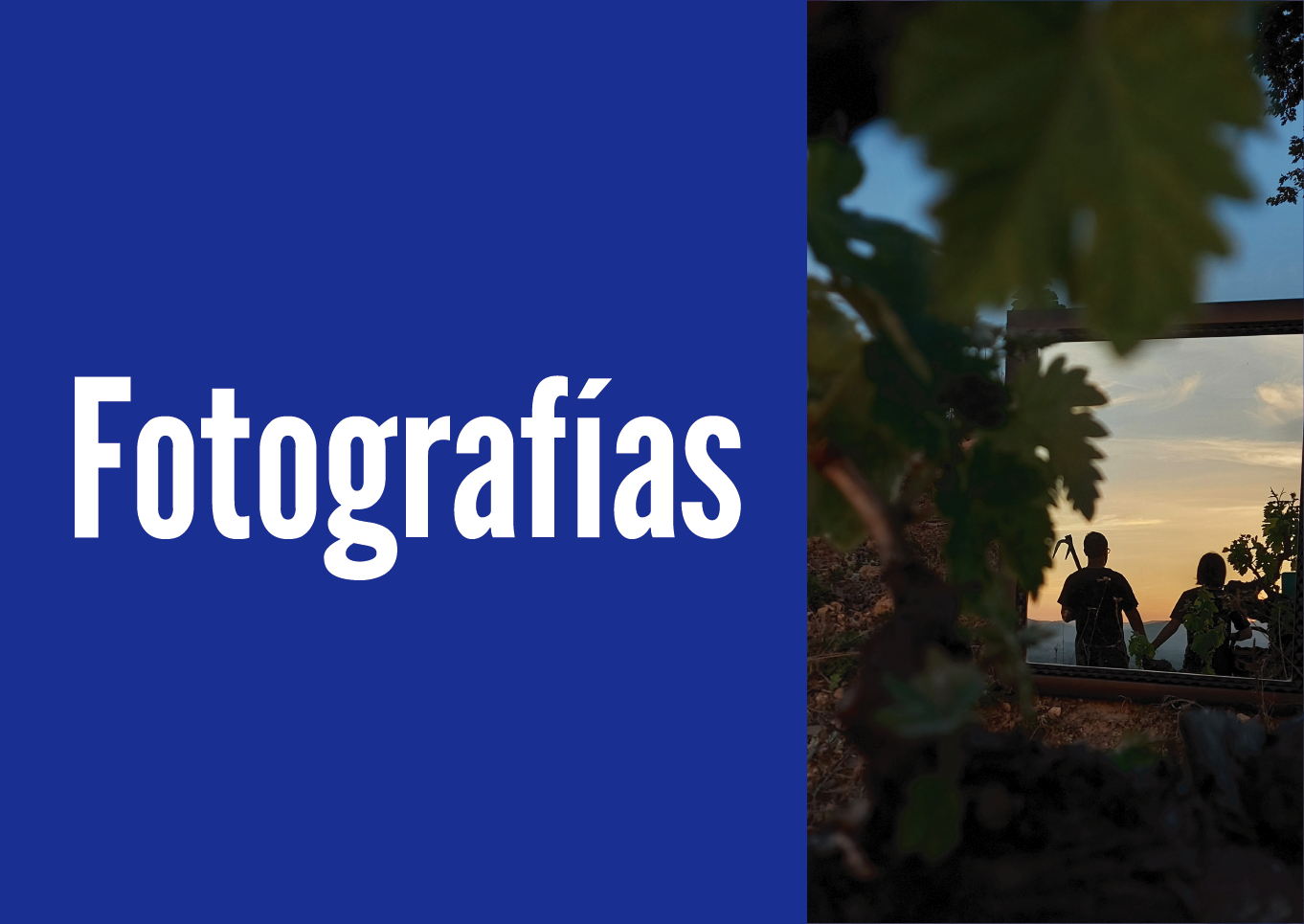 Fotografías